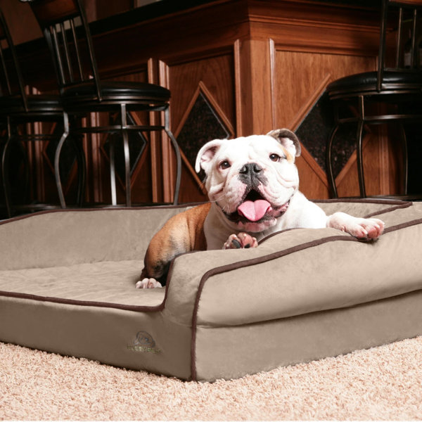 BuddyRest Pet Products Crown Bolster Dog Bed & Reviews Wayfair